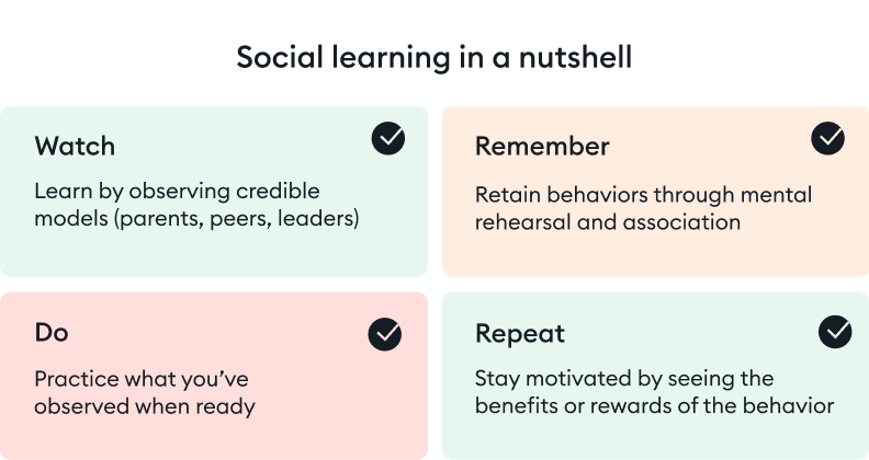 Key principles of social learning